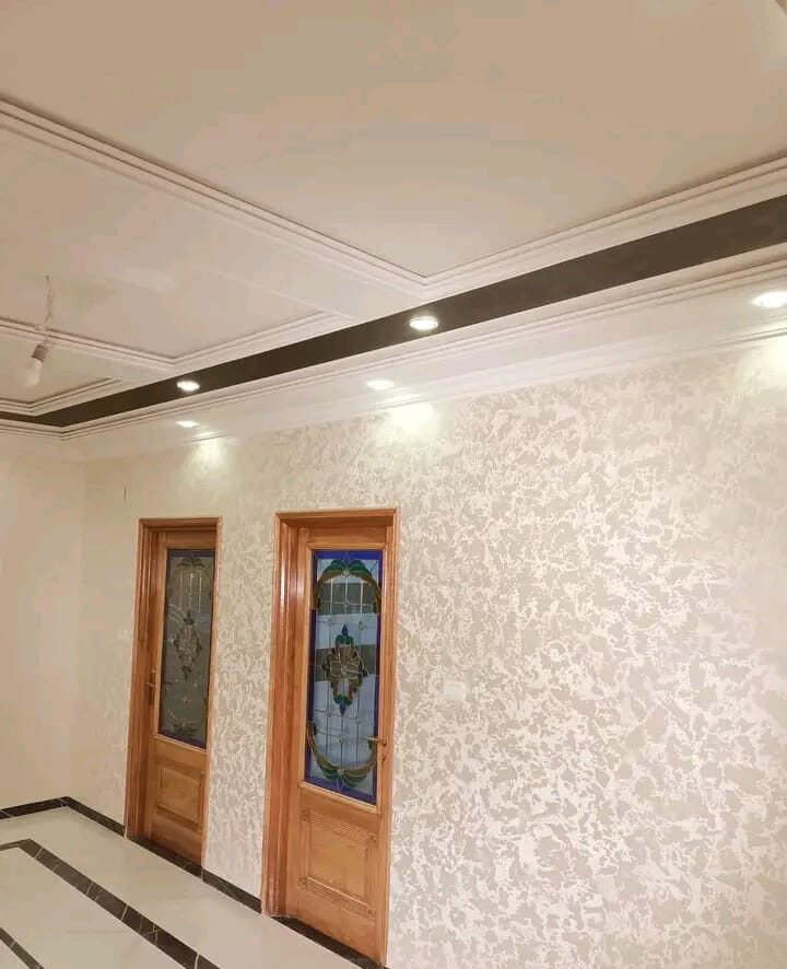 Peinture professionnelle pour maisons et façades - Image 5